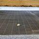 Image for article titled Glass architecture is killing millions of migratory birds